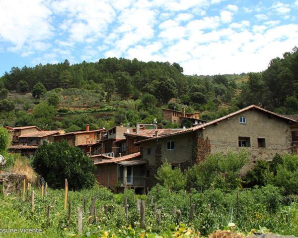 Apartamento Jalama 2B Moraleja Buitenkant foto